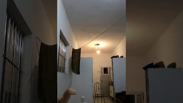 CANAU DAS IRMÃS E DAS PRIMAS смотреть онлайн