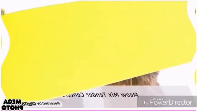 Meow Mix In U Major смотреть онлайн