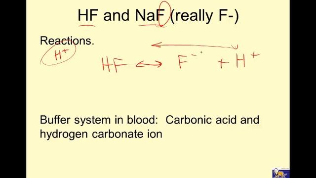 LTHS CHEM PPT 12.3 Titration buffers 14-15 Accel Harbin смотреть онлайн