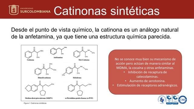 CATINONAS SINTÉTICAS смотреть онлайн
