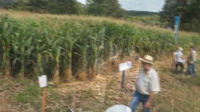 Jornada a Campo de Soja y Maíz en INTA Cerro Azul, Misiones смотреть онлайн