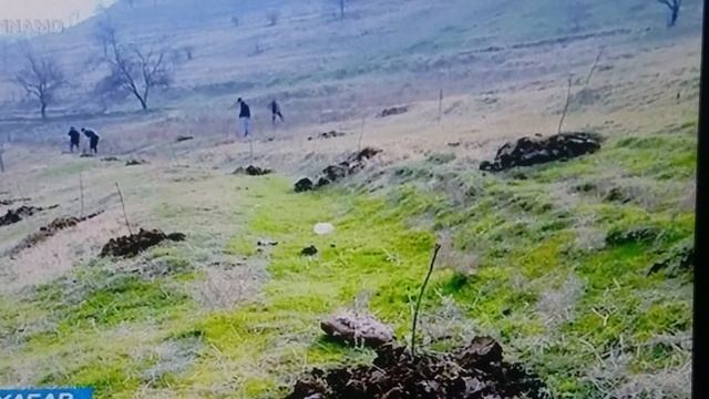 14 декабря 2019 г. смотреть онлайн