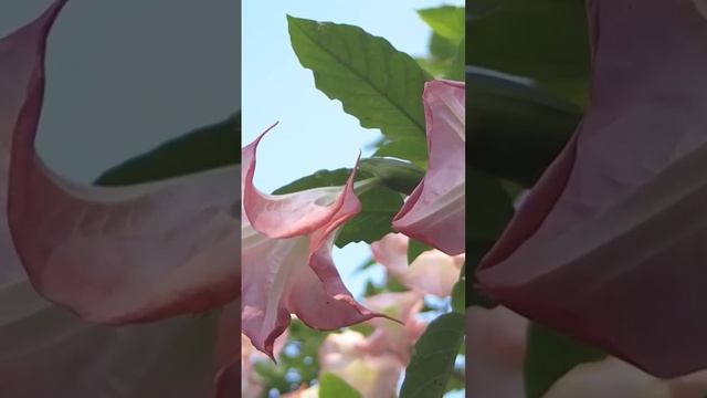 Дугин: «Что такое философия?» смотреть онлайн