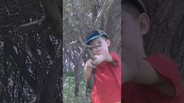 грибной сезон начинается #грибы #тихаяохота #белыйгриб смотреть онлайн