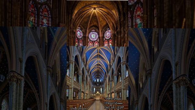 Hommage aux Français et à la cathédrale Notre-Dame🙏 смотреть онлайн