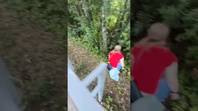 Сегодня мы наткнулись на милого котёнка, который, казалось, был одинок и нуждался в помощ смотреть онлайн