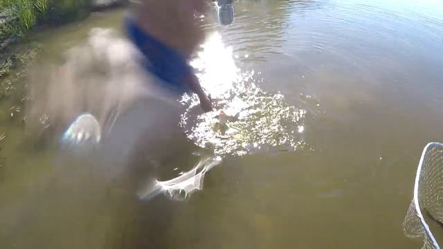 РЫБАЛКА НА САЗАНА С НОЧЕВКОЙ Ловля на жмых в Астрахани поставушками смотреть онлайн