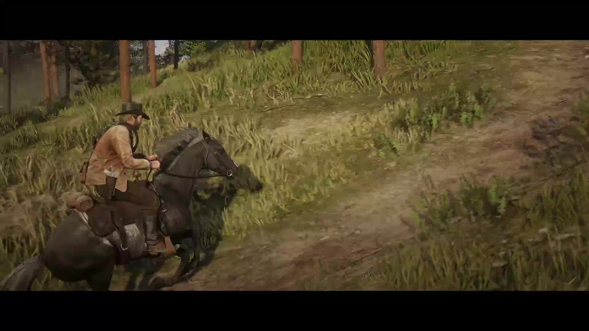 Red Dead Redemption 2 смотреть онлайн