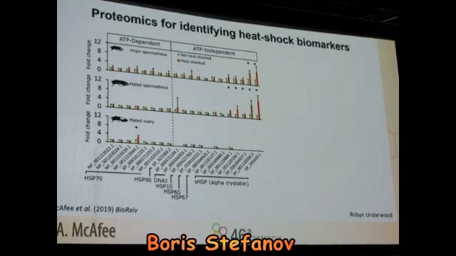 Apimondia 2019 – Bee Biology – 09.09. 2019 – Thermal Hazards for Honey Bee Queens – Alison McAfee смотреть онлайн