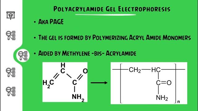 TYPES OF GEL ELECTROPHORESIS I Biotechnology смотреть онлайн
