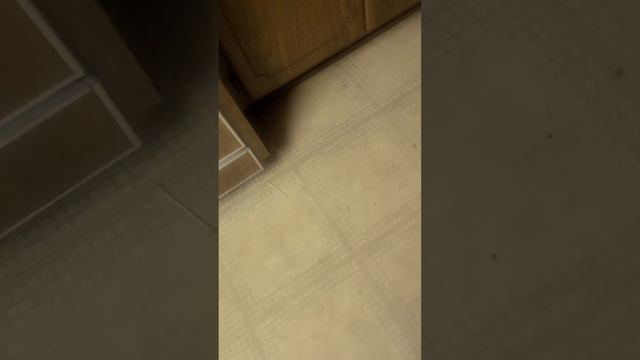 unboxing the plasma X lava tech hoverboard смотреть онлайн