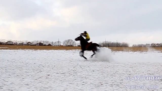 Кок бору (улак) Красноярск 07.01.2016. про смотреть онлайн