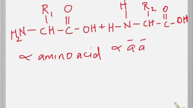 Peptide Bond formation смотреть онлайн