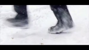 Нейромонах Феофан холодно в лесу ( слушать до конца)