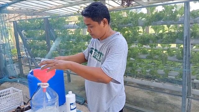 How to make low cost DIY PH down for Hydroponics Lettuce смотреть онлайн