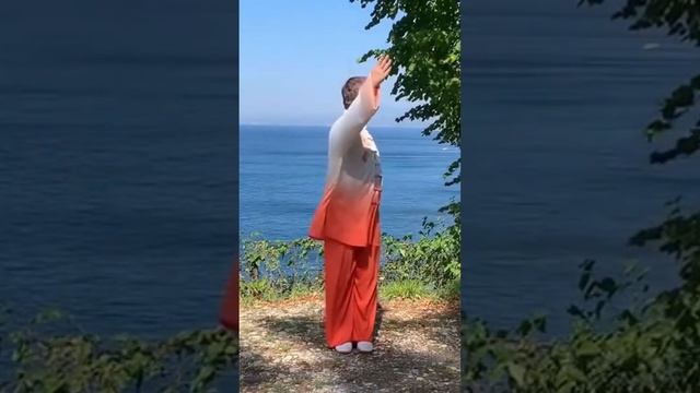 66 причина заняться Оздоровительным Цигун #цигун #цигунонлайн смотреть онлайн
