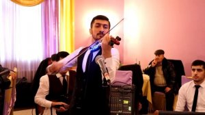 Скрипка на свадьбе