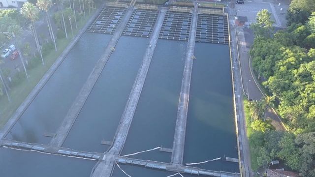 Jardins do DMAE Porto Alegre 24-02-18 - Parte 2 - Mavic Pro смотреть онлайн