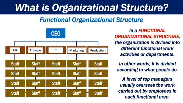 MODULE 1. TOPIC 3. ORGANIZATIONAL STRUCTURES. p37 Video смотреть онлайн