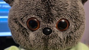 Вечерний влог с Басиками