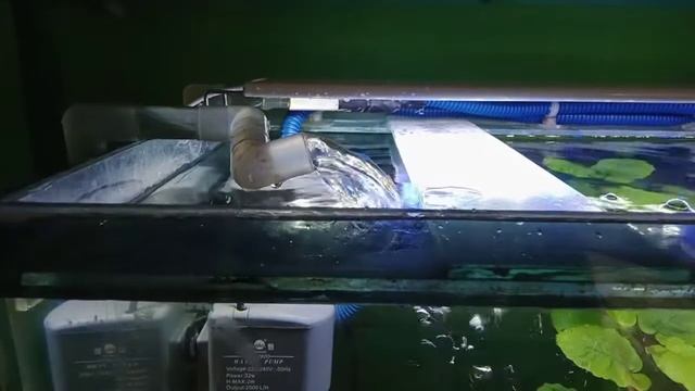 semburan PH yamano sp2600 setelah dipasang filter. semprotan pompa air aquarium смотреть онлайн