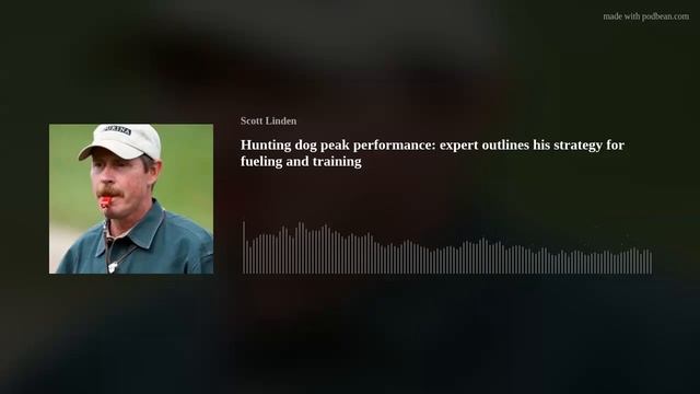 Hunting dog peak performance: expert outlines his strategy for fueling and training смотреть онлайн