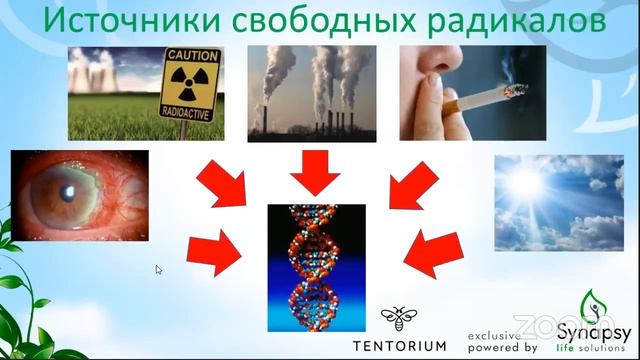 Молодость нашей кожи смотреть онлайн