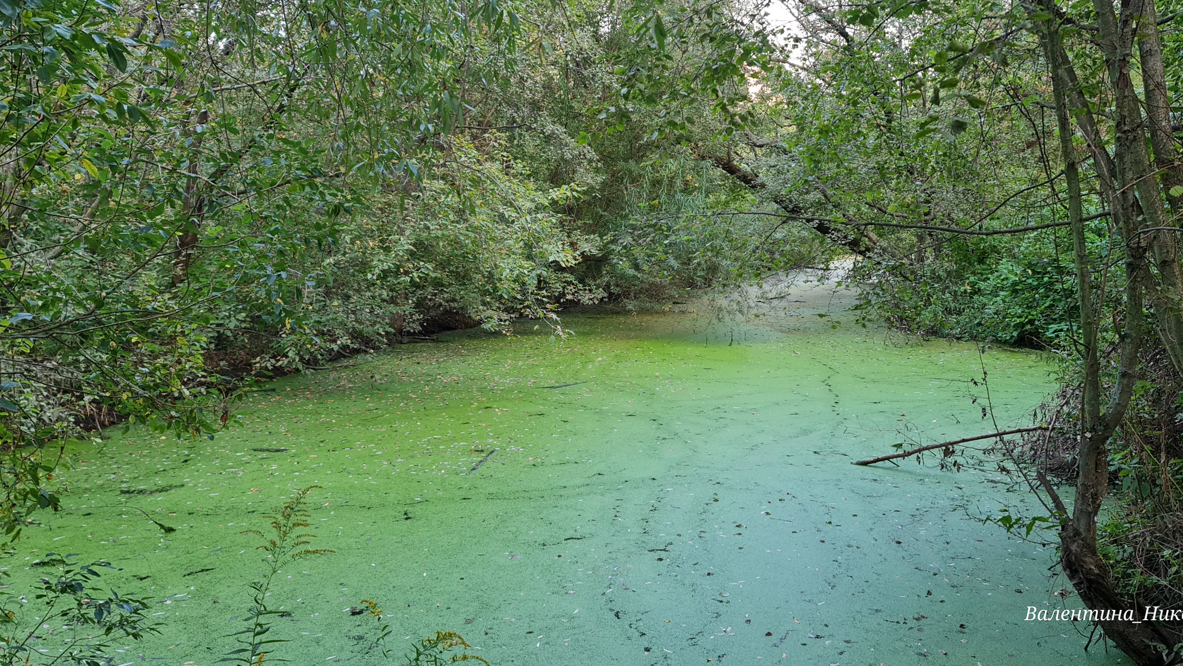 #Видеоэкскурсия по #старинной и #красивой #усадьбе #Свиблово на #берегу #реки #Яуза в #Москве смотреть онлайн