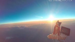 Кот умеет летать? Куки в космосе!!! Начало и путь посадки. Видео Slivki Show