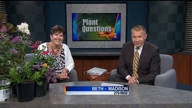 Plant tips from Linda смотреть онлайн