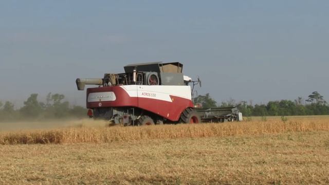 Acros-530. Harvest17. Peas. смотреть онлайн