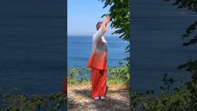 106 причина заняться оздоровительным цигун уже сегодня. #цигун #цигунонлайн смотреть онлайн
