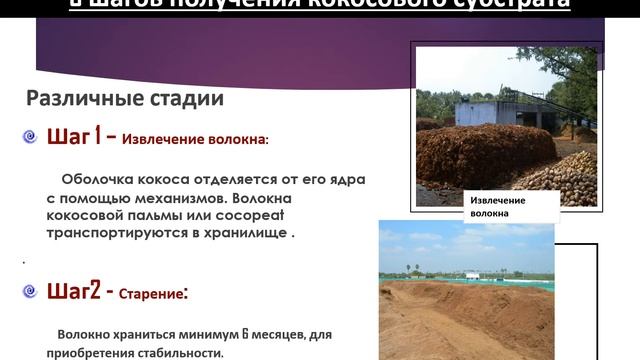 Лотки и субстраты facebook смотреть онлайн