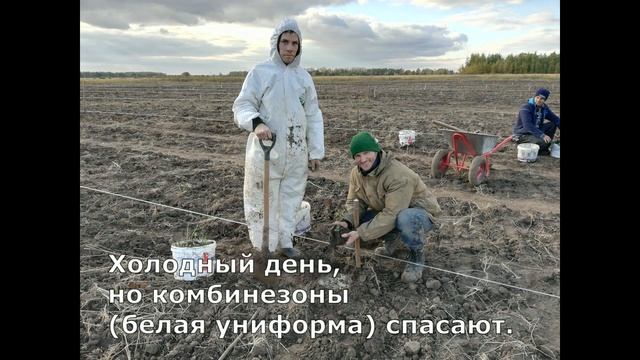 Сиротское детство - на всю жизнь наследство...(Пословица). смотреть онлайн