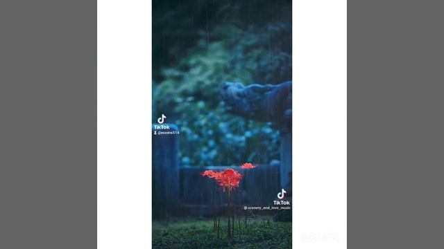 🎶🎵Mona Songz-Сагынам🔥🔥🔥🔥🔥 смотреть онлайн