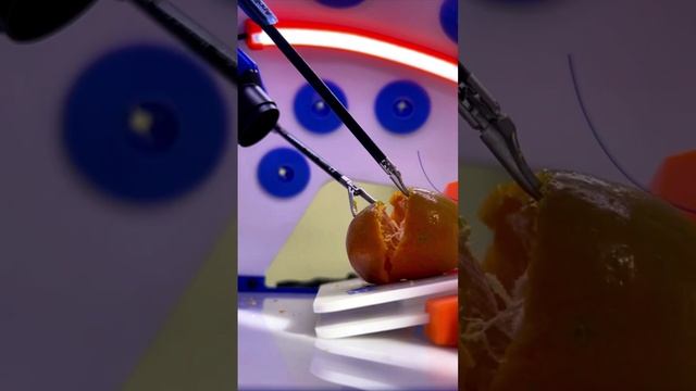 Тренировка хирурга-эндоскописта смотреть онлайн