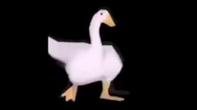 Goose 10 Hours