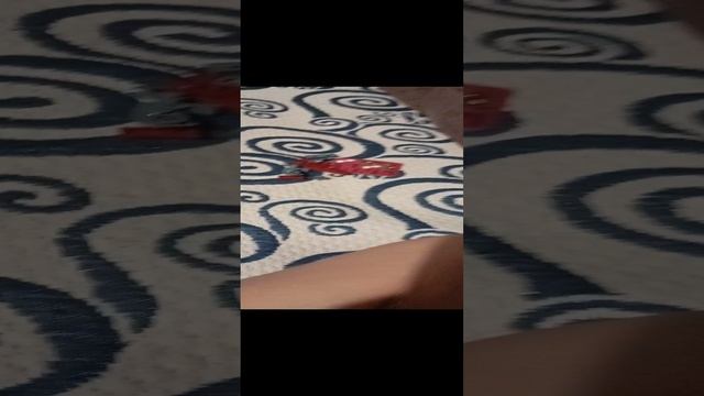 Из набора ДИКСИ ДИНО выпал тирекс 🦖 и анкилозавр смотреть онлайн