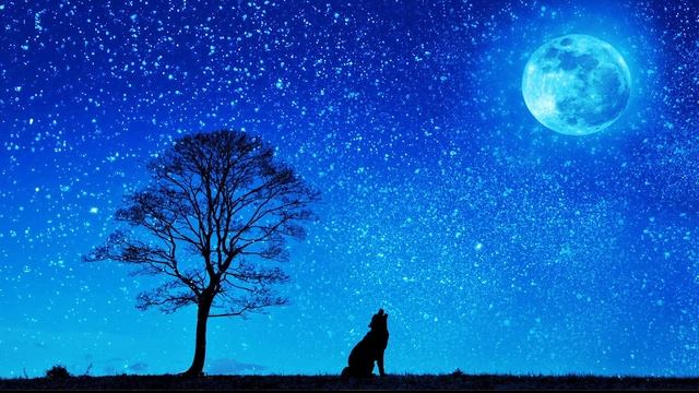 1 Hour Of Relaxing Ambient Music For Stress Relief Study Meditation Sleep   #stressreliefmusic