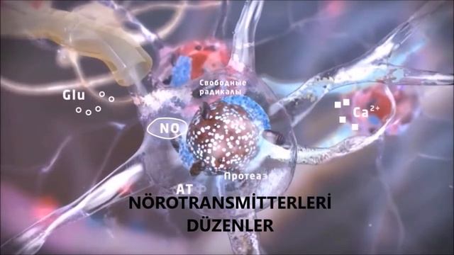 Korteksin Tedavisi Nedir? Serebral Palsi смотреть онлайн