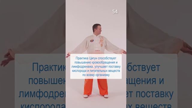 54 причина заняться Оздоровительным Цигун уже сегодня #short #цигунонлайн смотреть онлайн