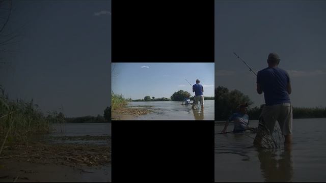 Схватка с речным монстром #рыбалка2024 #рыбалкавастрахани #fishing #летняярыбалка2024 #carp смотреть онлайн