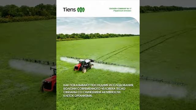 Хитозан TIENS 2 смотреть онлайн