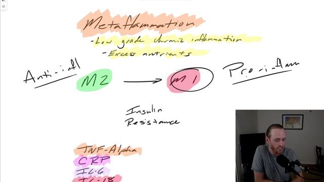 Metaflammation - What is it? смотреть онлайн