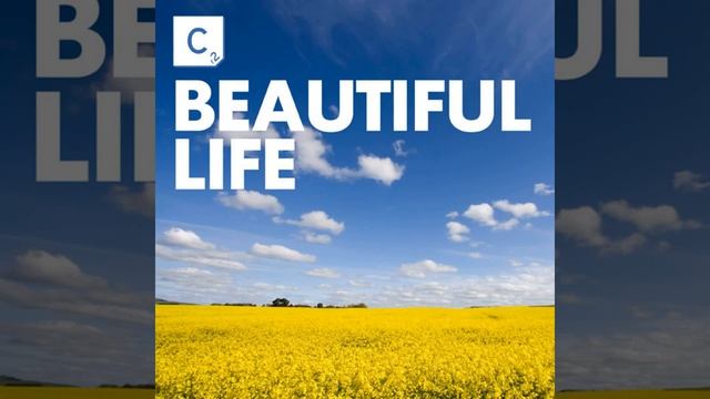 Beautiful Life (feat. D French) (Edit) смотреть онлайн