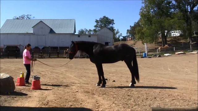 #77 Sept. 23rd Part 2 Smoke Machine with Christian смотреть онлайн