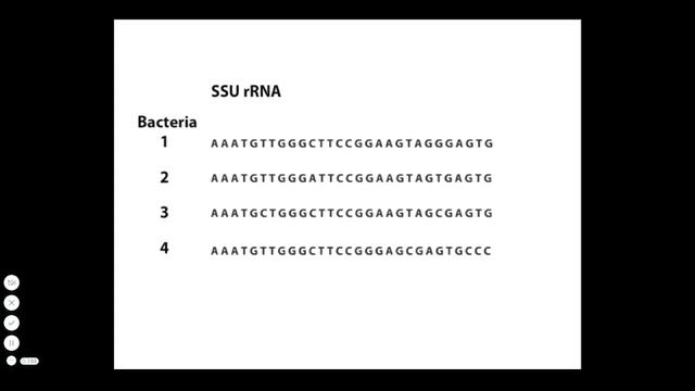 Phylogenetic Trees смотреть онлайн