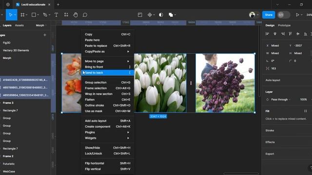 Цветовая гамма с Image Palette в Figma смотреть онлайн