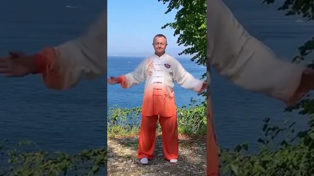 73 причина заняться Оздоровительным Цигун #цигун #цигунонлайн смотреть онлайн
