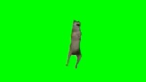 Ихвильнихт волчок 1 час